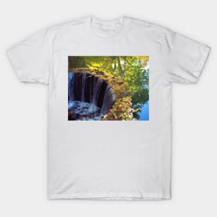 The Spillway T-Shirt